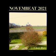 Novembeat J9