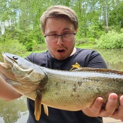 Bowfin Lovin'