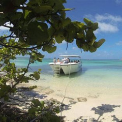 Review Special Price Adventure Antigua Elis Original Eco Tour