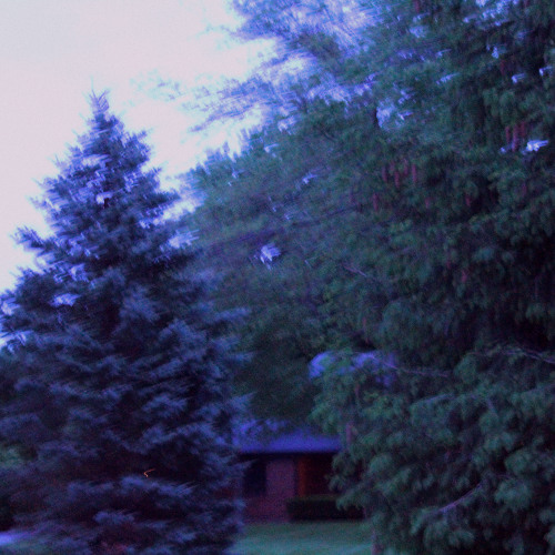 Waiting (Remastered)