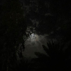 مو خطاك انتّ خطاي انا اللي صار