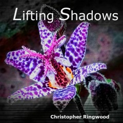 Lifting Shadows