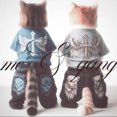 ☆*:.｡. my life a movie ♪♬