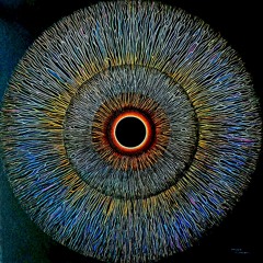 Melodic Techno & House