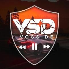 David Kushner - Daylight (VocSide Remix)