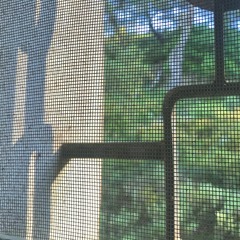 île/âne - Dedans Et Dehors