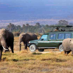 kenya-safari-tours-audio