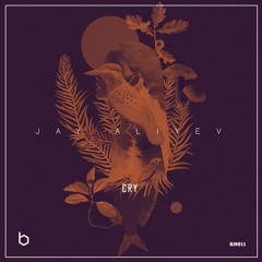Jay Aliyev - Cry