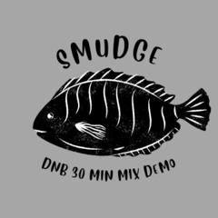 Drum n Bass demo mix | Smudge GULLY SELECTA
