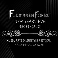 Syntax - Forbidden Forest NYE Festival Set