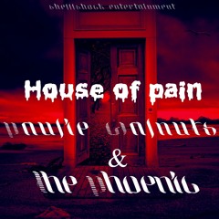 Paulie Walnuts & The Phoeni6 - house of pain .m4a