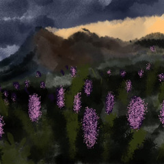 Ominous Imagined Storm Approach on a Spring Hike in a Fictional Mountain Meadow