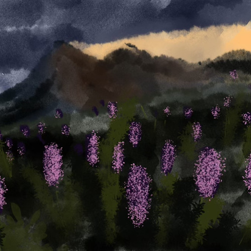 Ominous Imagined Storm Approach on a Spring Hike in a Fictional Mountain Meadow