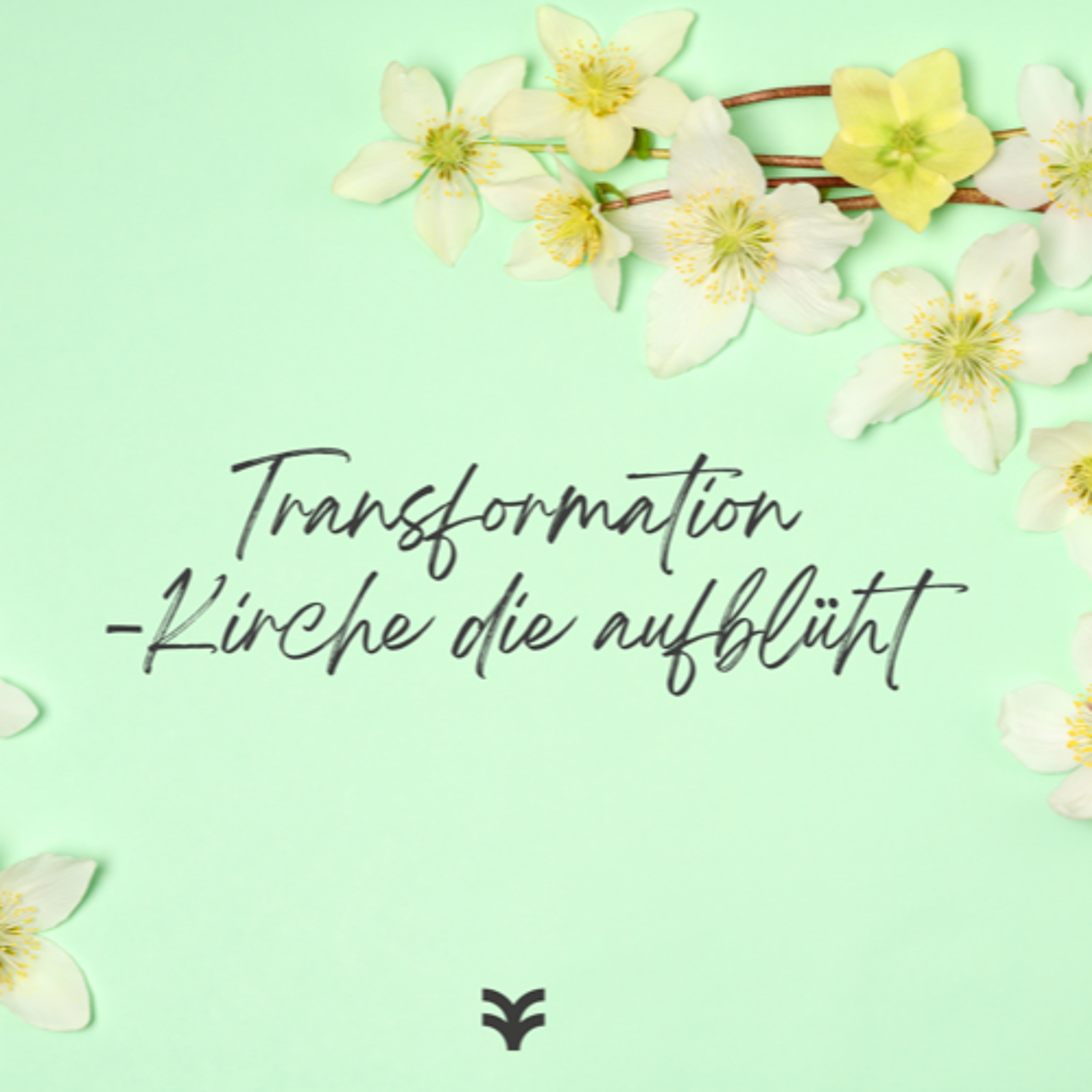 2. folgt ihrem Auftrag I Transformation - Kirche die aufblüht I Matthäus 28,1-20 I 03.05.2026 I Hendrik Röger