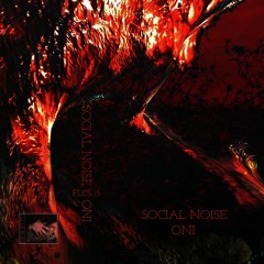 Premiere: Social Noise - Never Never [Fill-Lex Records]