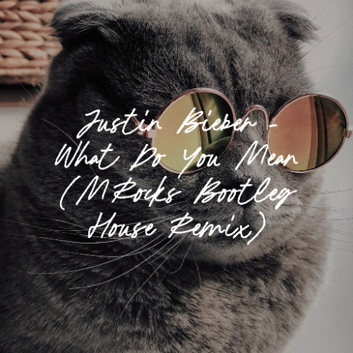 Justin Bieber - What Do You Mean (MRocks Bootleg House Remix)