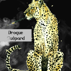 Drogue Guépard Ft Dg Wash