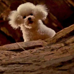 Rendez-vous with the wrong DJ