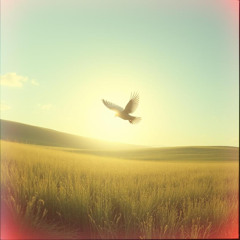 Songs that lift your spirits
