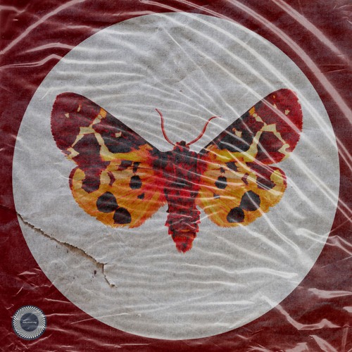 Silhouetted Horizons - Sleeping Underwater (SNR0002)