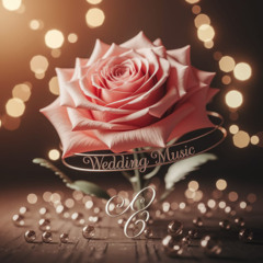 Wedding Ceremony Background 7