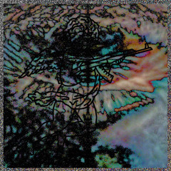 Fuck In The Middle [Soundcloud Exclusive]