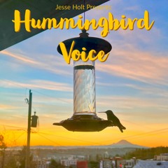 Jesse Holt Presents: Hummingbird Voice