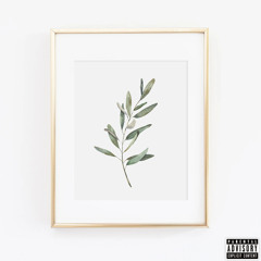 Olive Branch (Official Audio)