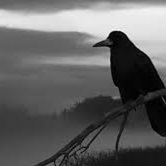 Кубанский казачий хор - Черный Ворон /Chernyi Voron / Kuban Cossack Choir - Black Raven