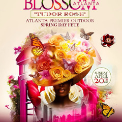 BLOSSOM "TUDOR ROSE'" 2025 PART2