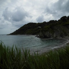 A Walk Through The Heath
