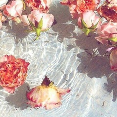 serendipity
