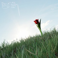#1 BILLIUMMOTO FAN(S) - Another Tulip for Genji