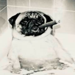 деньги слитки пачки (prod. akkiru1)