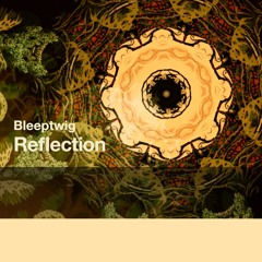 Reflection