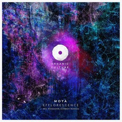 Moya (US) - Efflorescence