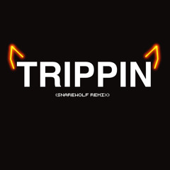 Total - Trippin (SNAREWOLF Remix)