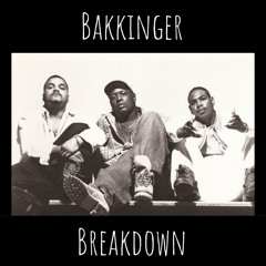 Fu - Schnikens - Breakdown (Bakkinger's Schweinsteiger Remix)