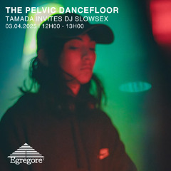 Tamada invites DJ Slowsex - The Pelvic Dancefloor (Avril 2025)