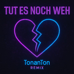 Polaroit - Tut es noch weh - TonanTon Trance Remix