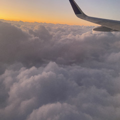 love dis life