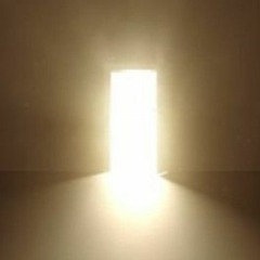 the wound is the light is the place is (2017 / 2020)