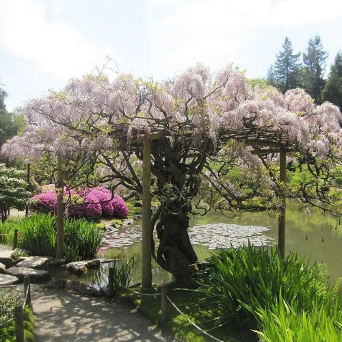 justin timberlake | mirrors (slower ballad)