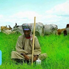 فريق بقارة-سليمان احمد عمر