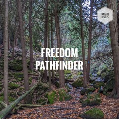 Freedom Pathfinder