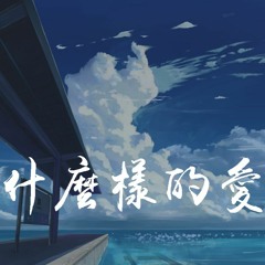 高鱼 - 什么样的爱情【動態歌詞/Lyrics Video】