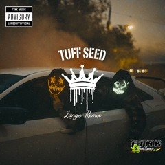 Tuff Seed (Liingo Remix)_2025.mp3