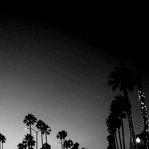 Don Toliver - Tiramisu [sincerely Lue. Edit]