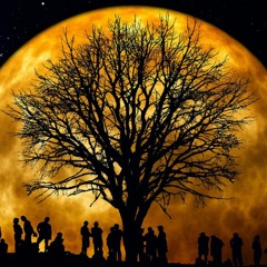 Where The Forest Meets The Gilded Moon