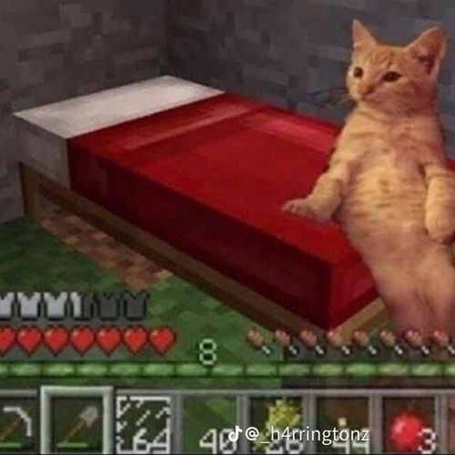 😴😴